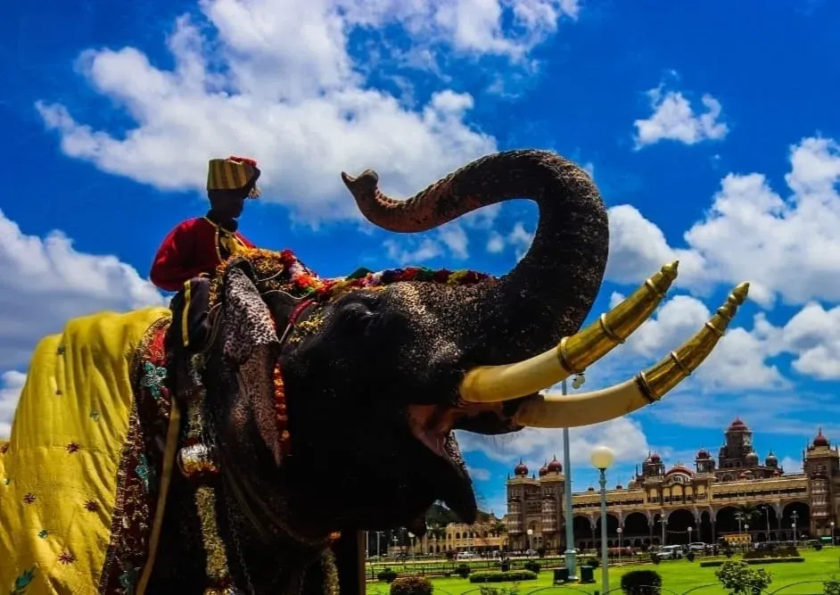 Kambala at Mysuru Dasara 2026: Royal family and BJP push back against Karnataka govt plan