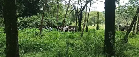 What New Developments Have Emerged in the Karnataka Mass Burial Case?