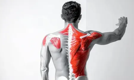 करते हैं कंप्यूटर पर काम, हो सकते हैं 'फ्रोजन शोल्डर' का शिकार, ये होते हैं इसके लक्षण