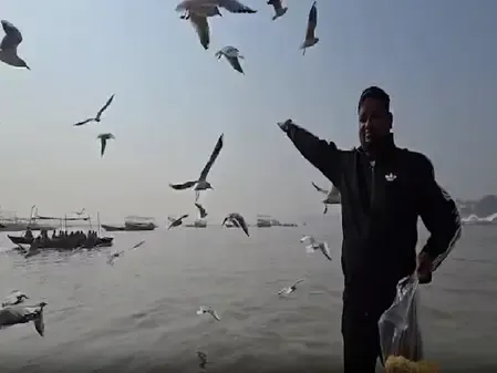 काशीवासियों ने किया साइबेरियन पक्षियों का स्वागत, बढ़ी मां गंगा की रौनक