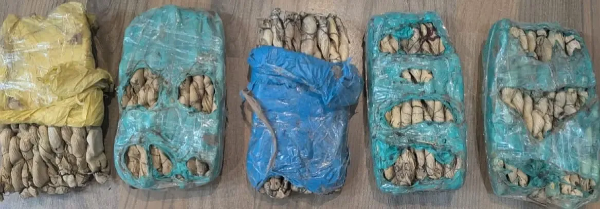 क्या कश्मीर में ड्रग्स सप्लाई मॉड्यूल का भंडाफोड़ हुआ?