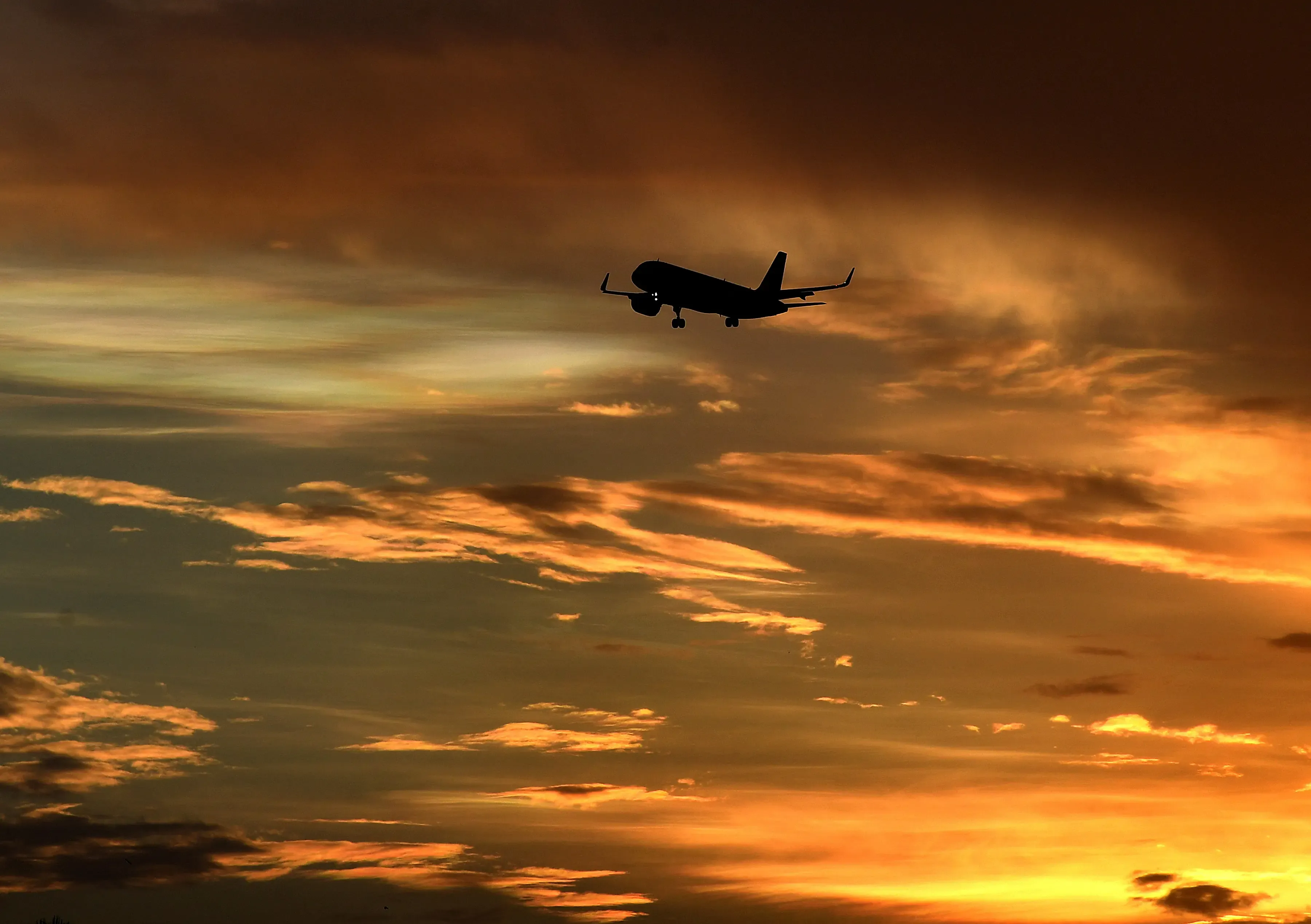 कतर एयरवेज की 25 उड़ानों से 7,750 भारतीय नागरिकों की वतन वापसी, दूतावास ने जारी की सुरक्षा सलाह