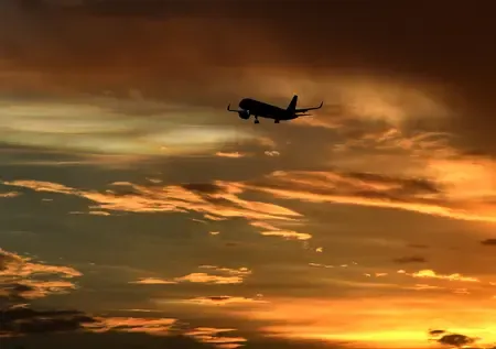 कतर एयरवेज की 25 उड़ानों से 7,750 भारतीयों की हुई वतन वापसी, दूतावास ने जारी की सुरक्षा सलाह