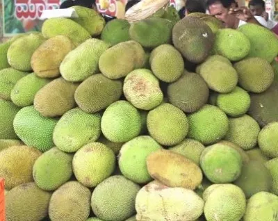 क्या कटहल स्वाद और सेहत का परफेक्ट कॉम्बिनेशन है?