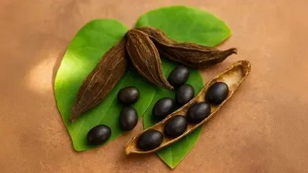 क्रोंच बीज: पुरुष के लिए एक चमत्कारी आयुर्वेदिक 'टॉनिक', जो तन-मन दोनों का रखे ख्याल