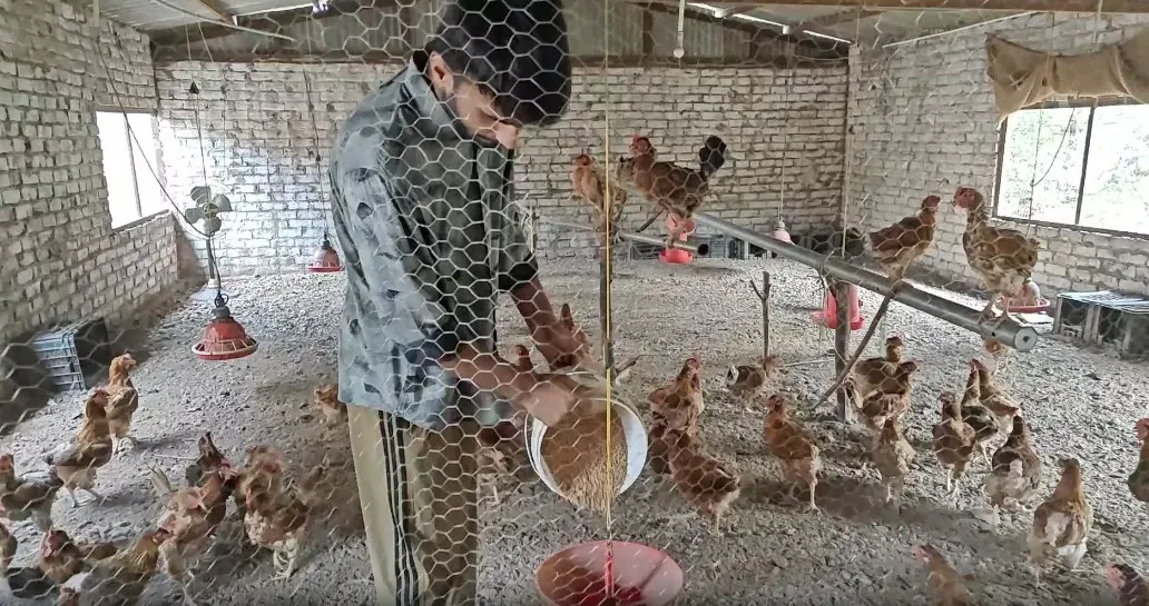 राजौरी के एहतेशाम की बदली किस्मत: पशुपालन विभाग की योजना से पोल्ट्री फार्म, हर महीने ₹50-60 हजार की आमदनी