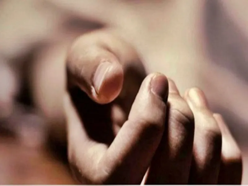 How Did Dogs Mutilate a Body in MP Govt Hospital?