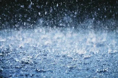 Kerala monsoon deficit hits 28% as Wayanad records 54% shortfall
