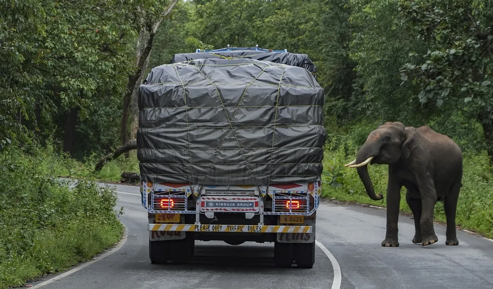 Kerala forest insurance scheme for hilly residents, solar fencing to 3,000 km