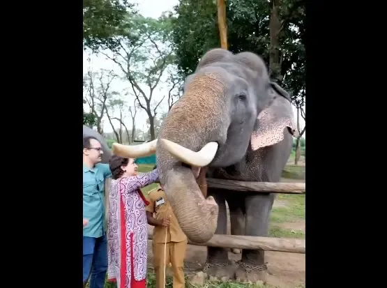 क्या प्रियंका गांधी मुथंगा वन्यजीव अभयारण्य पहुंचीं?