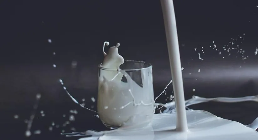 Is Kerala Achieving Milk Self-Sufficiency with Rs 254.79 Cr Support for Farmers?