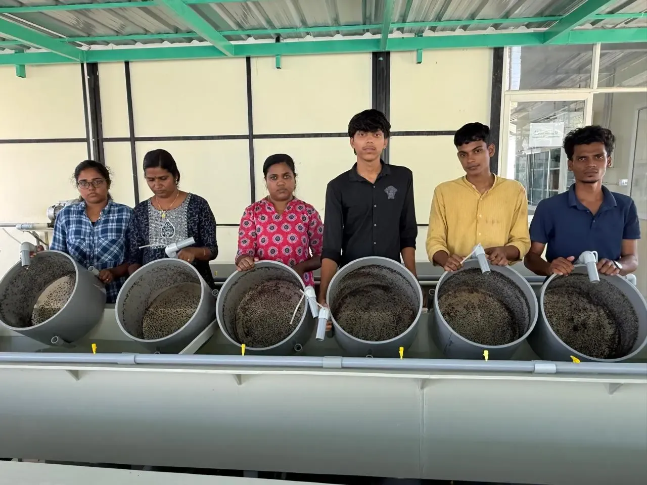 CMFRI supplies one million mussel seeds to Maharashtra in six months