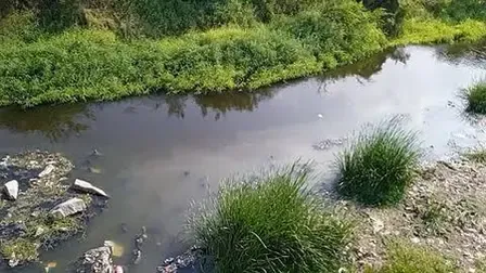 Key treatment plant in TN's Tirupppur nears completion to stop sewage flow into Nallaru River 