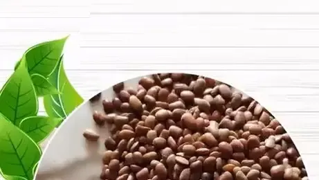 क्या किडनी की पथरी और डायबिटीज से निजात दिला सकती है कुल्थी की दाल?