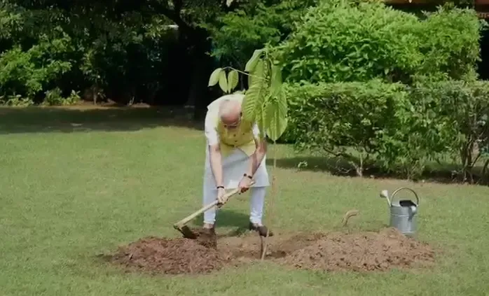 क्या किंग चार्ल्स से गिफ्ट में मिले कदंब के पौधे को प्रधानमंत्री मोदी ने आवास पर लगाया?