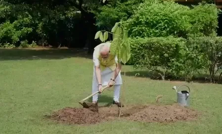 किंग चार्ल्स से गिफ्ट में मिले कदंब के पौधे को प्रधानमंत्री मोदी ने आवास पर लगाया