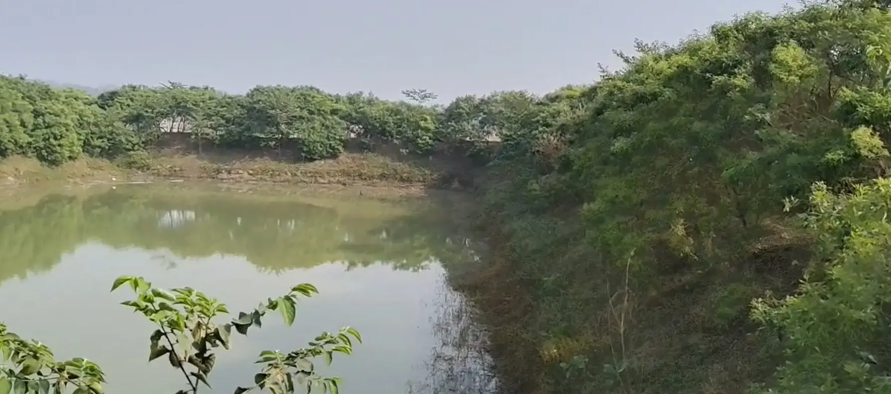 क्या किसान अमरेंद्र ने अरहर दाल से तीन लाख रुपए कमाए? सरकारी योजना से प्रेरित होकर कोसी क्षेत्र में सफल खेती की