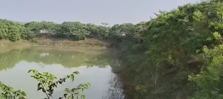 किसान अमरेंद्र ने अरहर दाल से कमाए तीन लाख रुपए, सरकारी योजना से प्रेरित होकर कोसी क्षेत्र में सफल खेती की