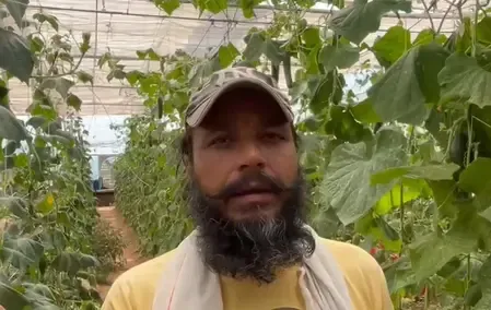 कठुआ के किसान लोकेश सुंबरिया ने पॉली हाउस से अपनाई जहर मुक्त खेती, आय में कई गुना वृद्धि