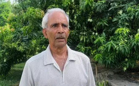 मसनोडीह के आम: बिना केमिकल, छह दशक की मिठास — पटना से अमेरिका तक पहुँची झारखंड की पहचान