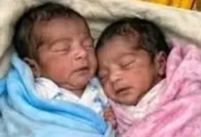 कोडरमा: ई-रिक्शा बना प्रसूति कक्ष, महिला ने टोटो में दिए जुड़वा बच्चों को जन्म; ANM प्रियंका बनीं फरिश्ता