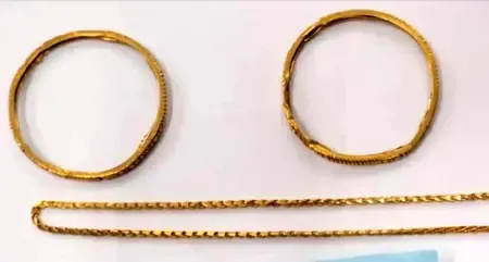 Did Kolkata Police Catch a Woman Stealing Jewellery and Cash from a Bihar Couple?