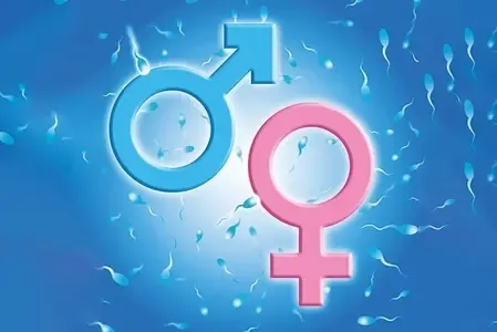 Krishnagiri to launch intensive awareness drive at Anganwadis to curb sex determination, selective abortions