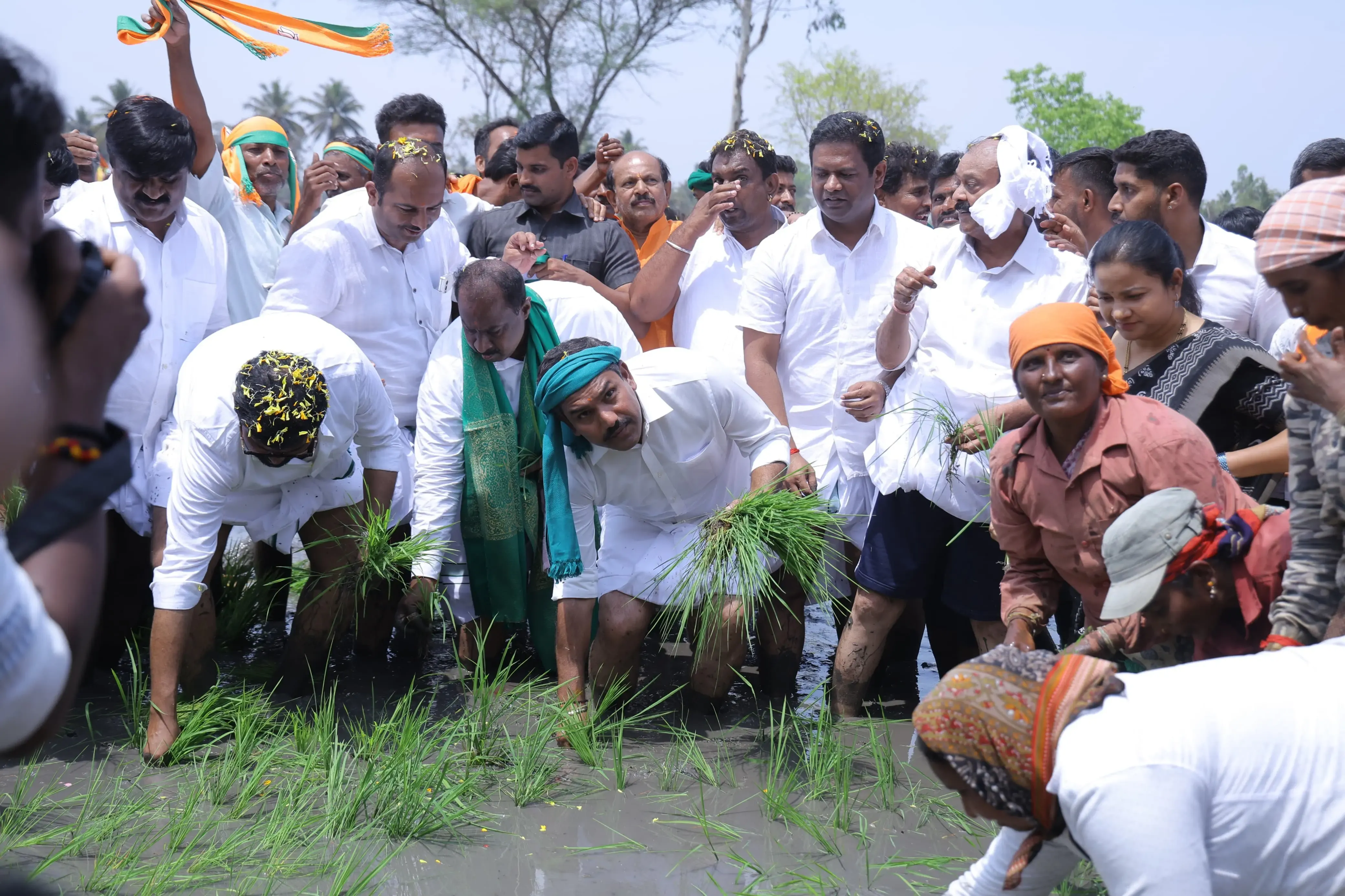 Karnataka BJP Chief Engages in Paddy Planting, Advocates for Farmer-First Budget