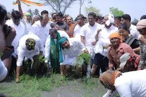 Karnataka BJP Chief Engages in Paddy Planting, Advocates for Farmer-First Budget