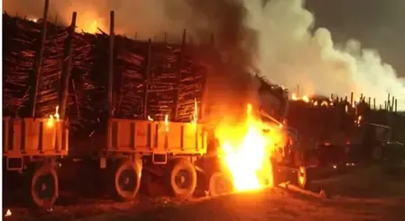 Why Did the Sugarcane Protest in Karnataka Turn Violent?