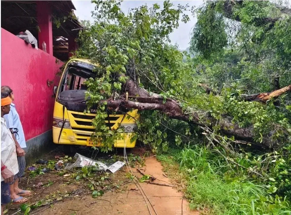 Mangaluru: 5-year-old girl killed as tree falls on school bus in Bantwal