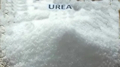 Is There a Need for an Investigation into the Urea Shortage in Telangana?