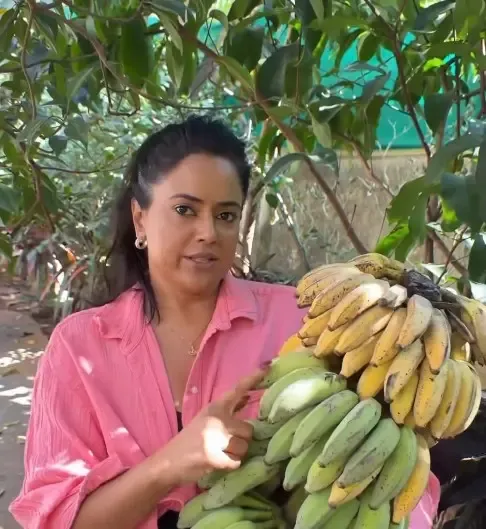 क्या ऑर्गेनिक और केमिकल युक्त फलों के बीच अंतर है? समीरा रेड्डी ने बताया