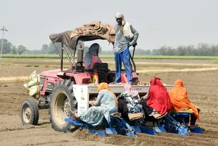 2025 Labour Participation Steady; Urban Female Unemployment Drops