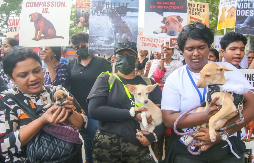 क्या लाहौल-स्पीति में पशु क्रूरता पर प्रभावी अंकुश लगाया जाएगा?