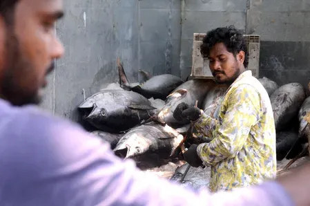Lakshadweep targets 50,000 tonnes tuna output in five-year blue economy plan