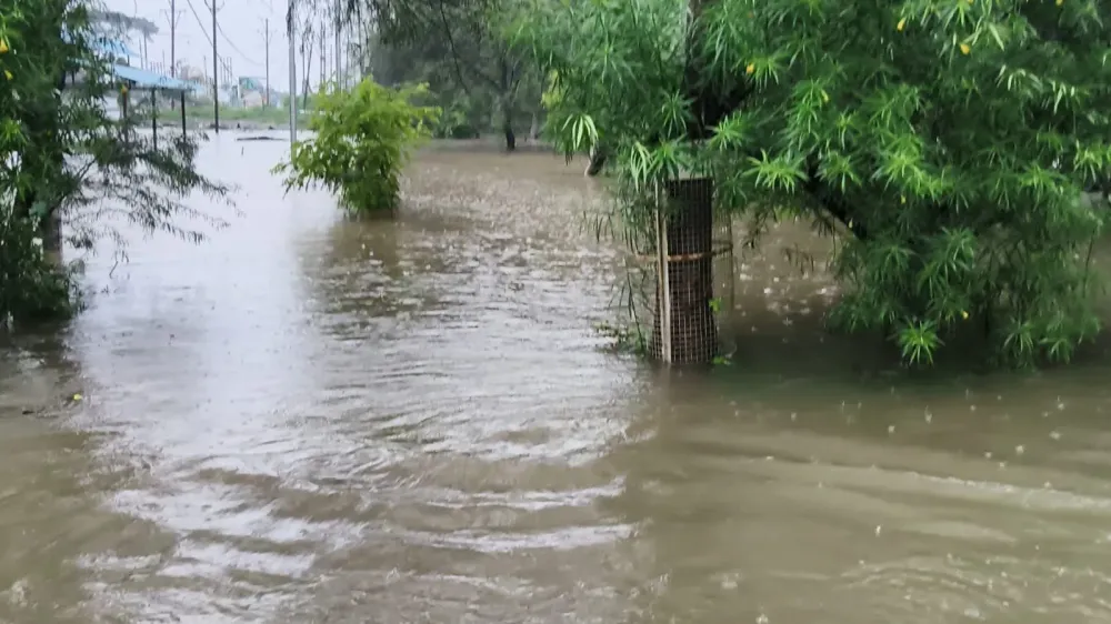 Heavy rain disrupts Madhya Pradesh; schools shut in Bhopal on 10 Aug