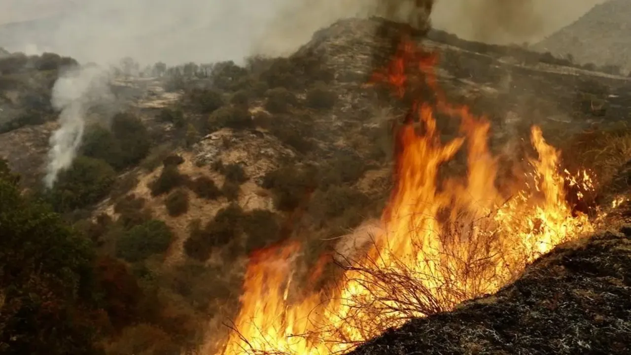 Massive Wildfire in Malibu, California Triggers Evacuations