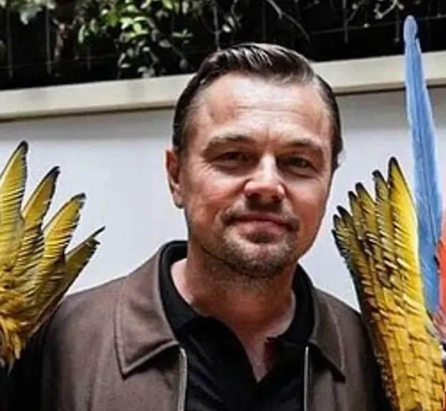 Why Does Leonardo DiCaprio Believe the Box-Office Matters?