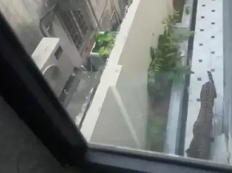 Did a Leopard Really Enter the Bungalow of Rajasthan Minister in Jaipur?