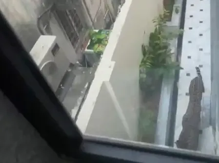 Leopard spotted again in Jaipur; locals in fear as forest officials continue search