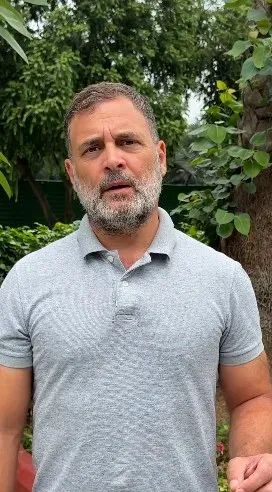 Rahul Gandhi calls to 'get rid of this regime' after Pradhan's resignation