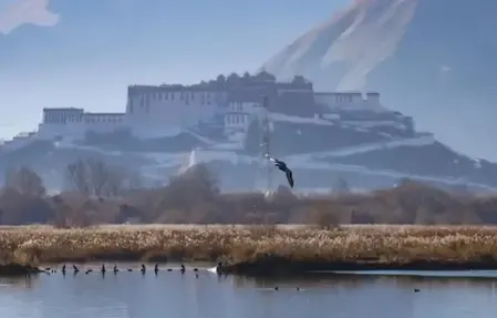 ल्हालू आर्द्रभूमि को 'विश्व की सबसे अधिक ऊंचाई पर स्थित शहरी प्राकृतिक आर्द्रभूमि' का खिताब