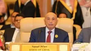 Why is the Libyan parliament speaker urging for an immediate presidential election?