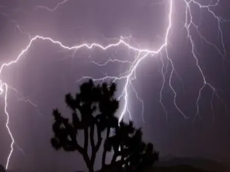 Did a lightning strike claim a life in Madhya Pradesh's Sehore?