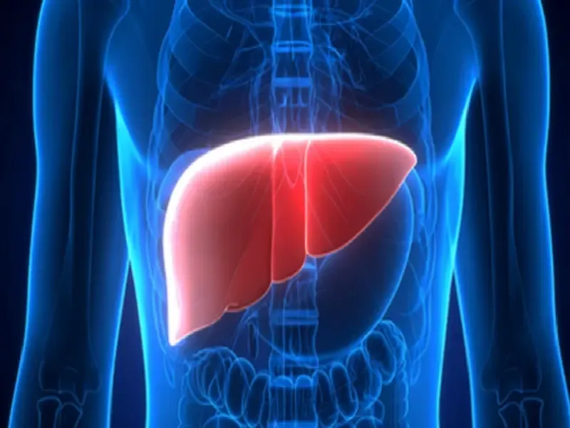लिवर के लिए जादुई जूस: जानें इसके सेवन और फायदों के बारे में