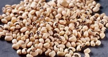 लोबिया : वजन घटाने में मददगार, वैज्ञानिक रिसर्च में सामने आए कई फायदे