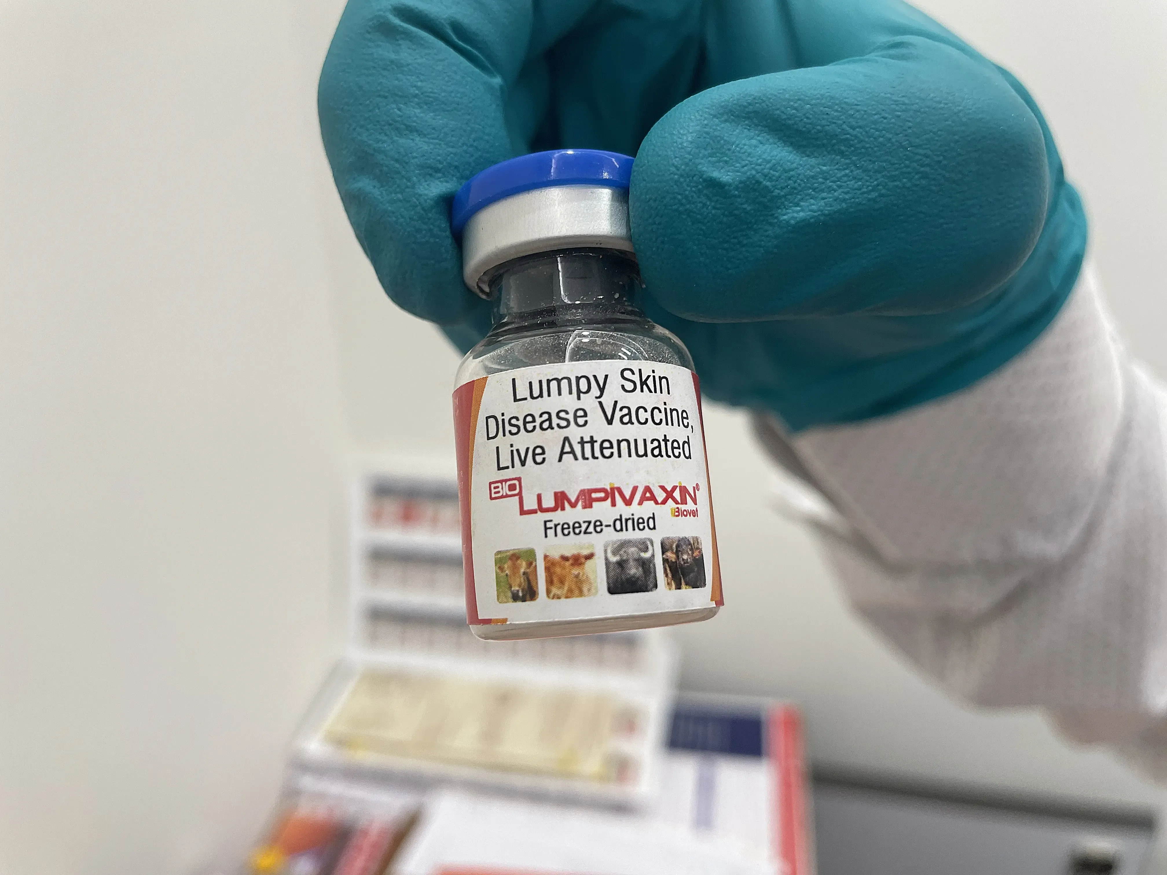 CDSCO Approves India's First Vaccine for Lumpy Skin Disease in Cattle and Buffalo