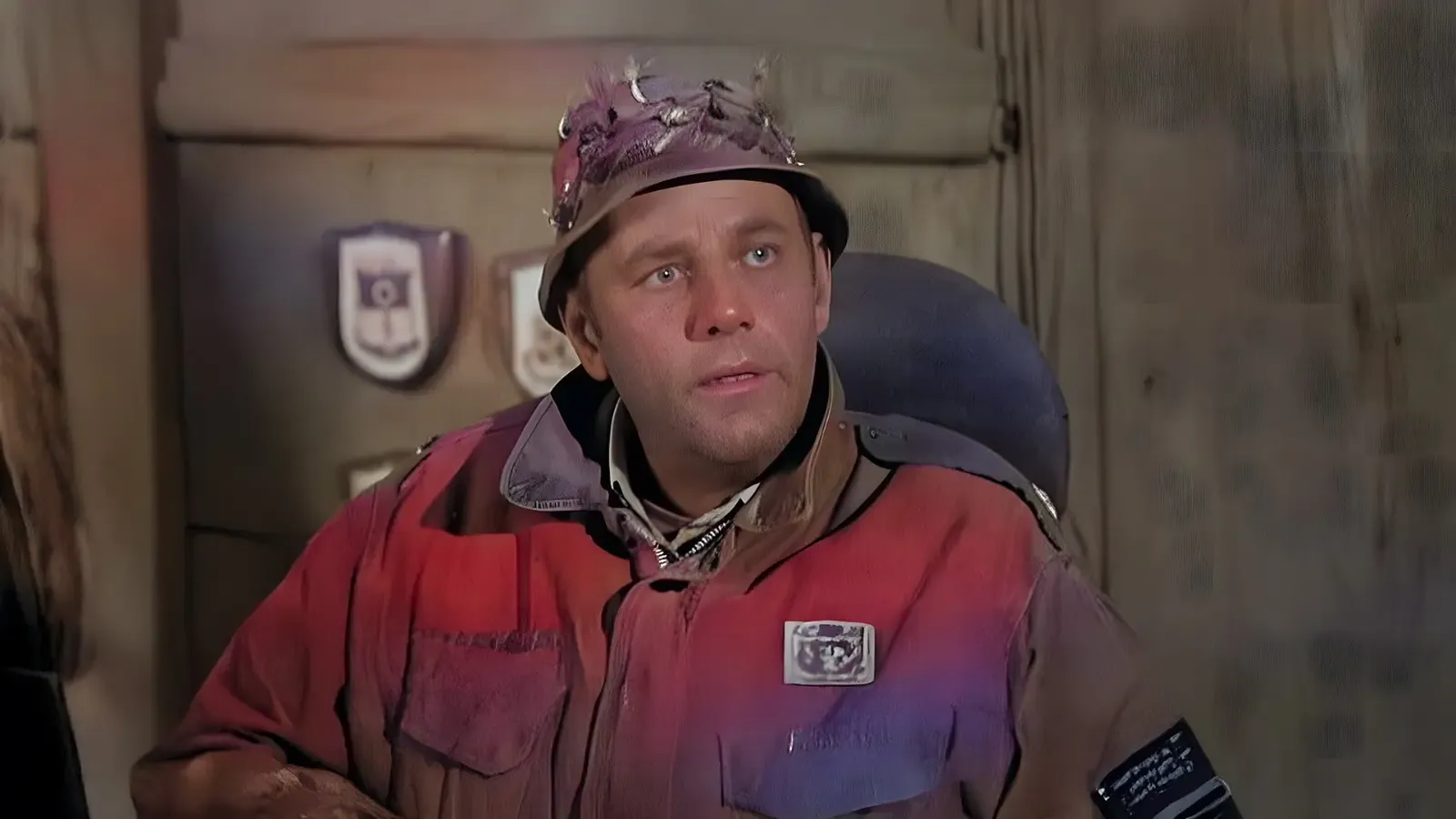 क्या मैकलीन स्टीवेंसन: छोटे पर्दे का बड़ा सितारा जिद्द में आकर स्टारडम गंवा दिया?