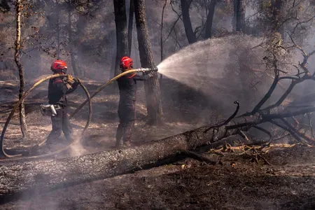 France wildfires 2026: Macron thanks forces as 98,000 hectares burn